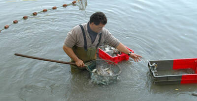 Pêche de l'étang de Bellebouche à Mézières-en-Brenne
